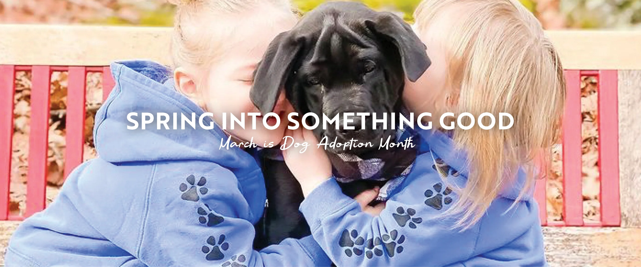 Coastal Comfort. Timeless Island Style.